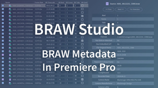 BRAW Metadata in Premiere Pro : Visualize and Organize
