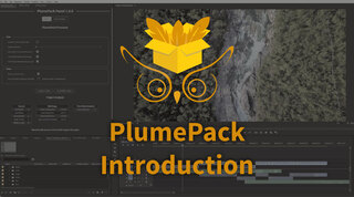 Introduction to PlumePack for Premiere Pro