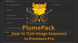 How to trim your Image Sequence in Adobe Premiere Pro