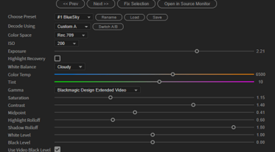 The BRAW Studio Panel BRAW Settings tab