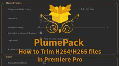 How to Lossless trim your AVC / H264 and HEVC / H265 files in Premiere Pro