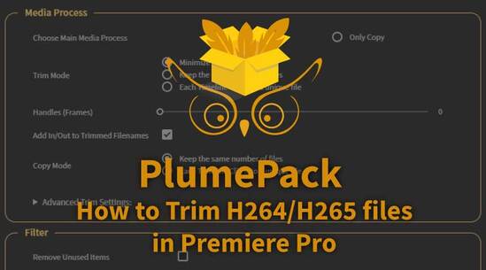 How to Lossless trim your AVC / H264 and HEVC / H265 files in Premiere Pro