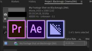 CinemaDNG (Compressed from Blackmagic cameras) : How to Import natively into Adobe Premiere Pro, After Effects and Media Encoder